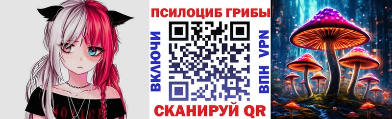 Купить где Карачев Галлюциногенные грибы GOLDEN TEACHER